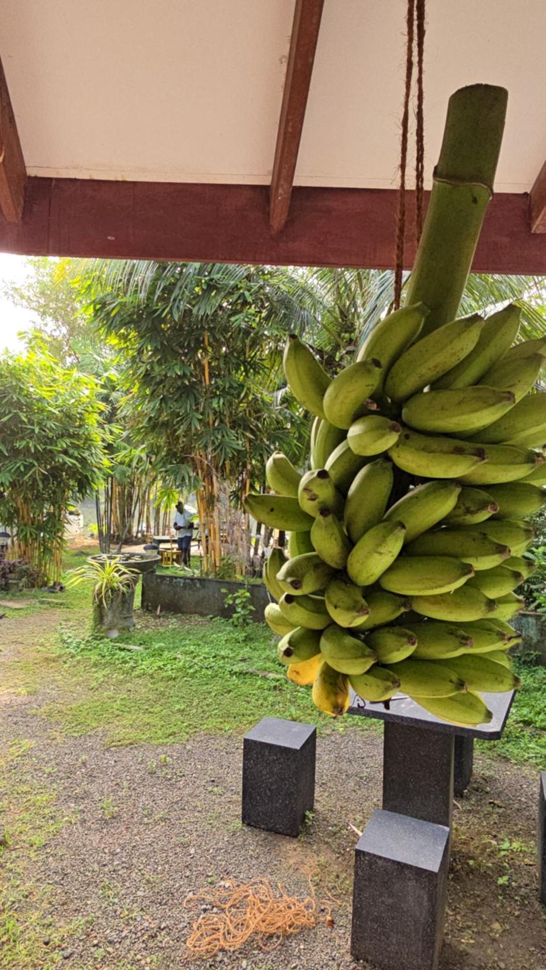 My Paradise Ахангама Екстериор снимка